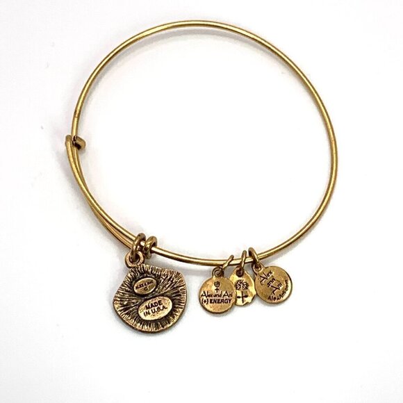 Alex and Ani Seashell Charm Bracelet Silver Gold Finish - Expands 2"- 3.5" - Picture 3 of 4